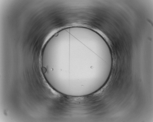 X0000096711294200802051029