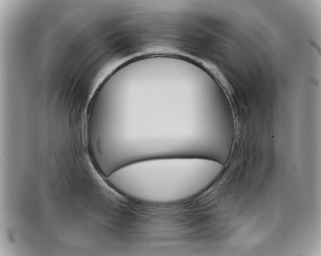 X0000096711295200802051029