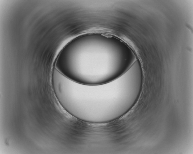 X0000096711296200802051029