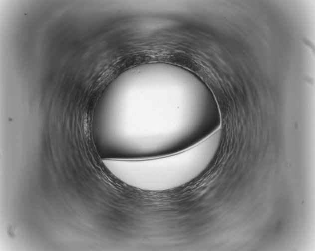 X0000096711298200802051028