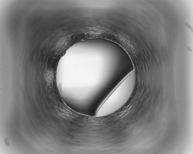 X0000096711299200802051028