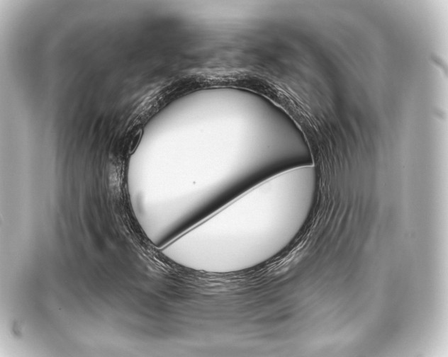 X0000096711300200802051028