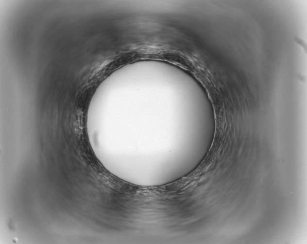 X0000096711301200802051028