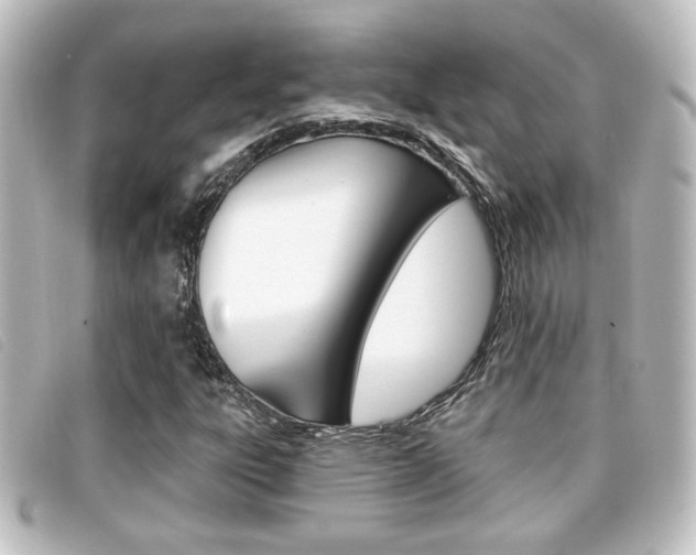 X0000096711303200802051028