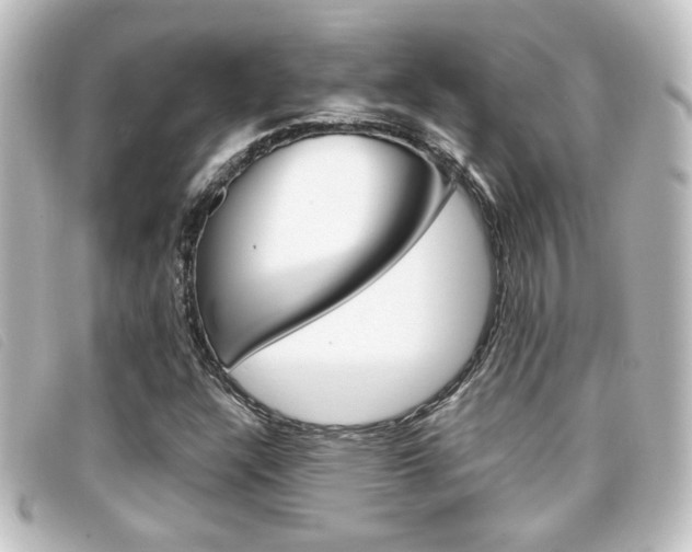 X0000096711304200802051028