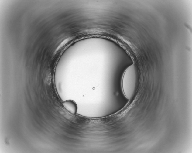 X0000096711306200802051028