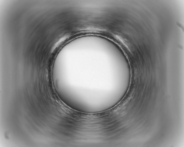 X0000096711307200802051028