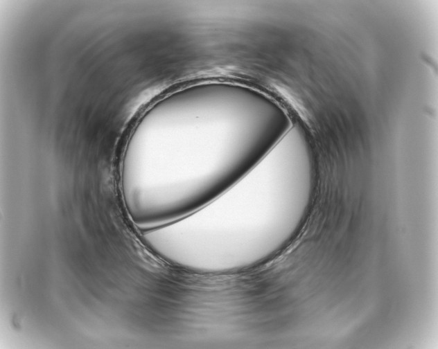 X0000096711308200802051028