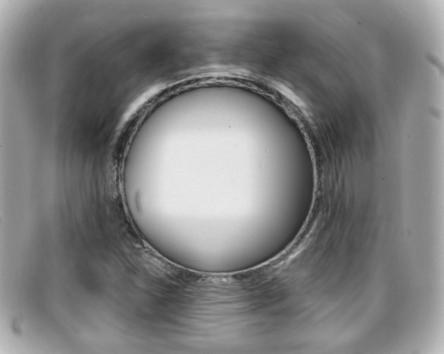 X0000096711310200802051028