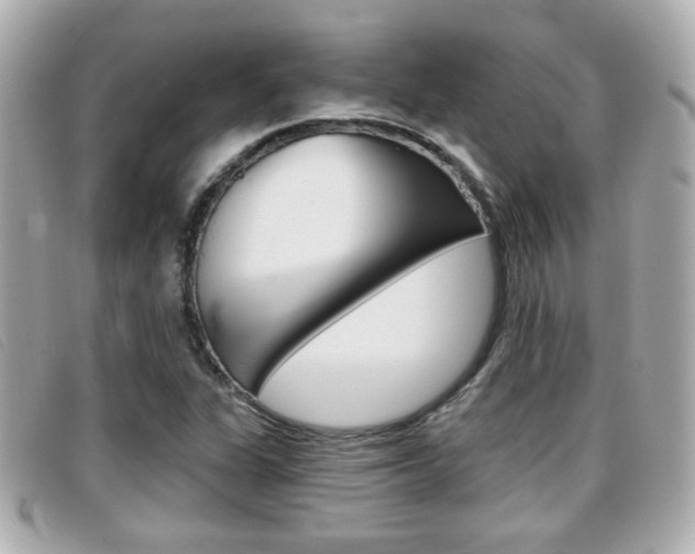 X0000096711311200802051028