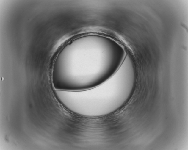 X0000096711312200802051028