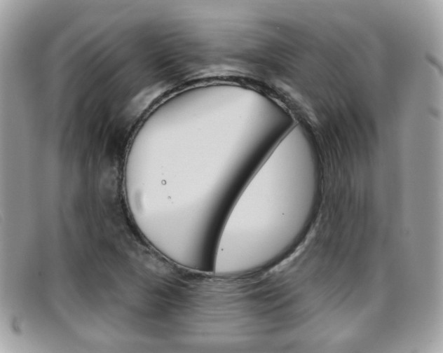 X0000096711313200802051028
