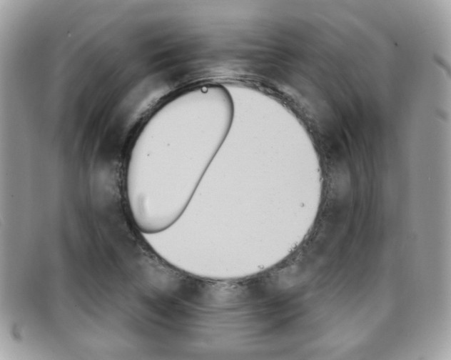 X0000096711314200802051028