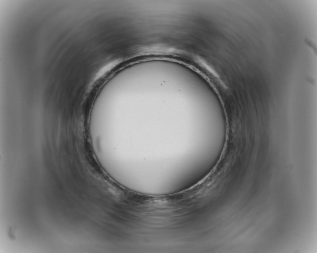 X0000096711315200802051028