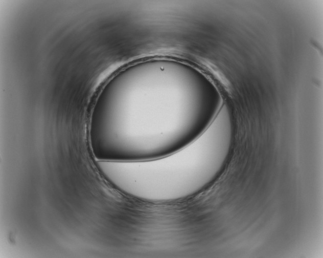 X0000096711316200802051028
