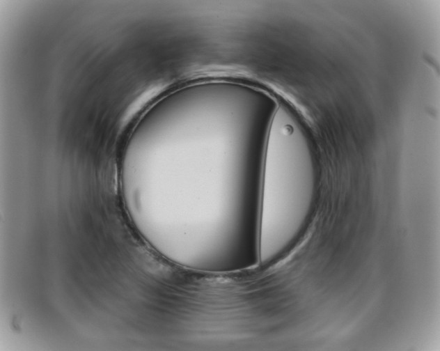 X0000096711317200802051028