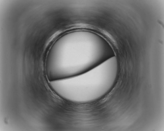 X0000096711318200802051028