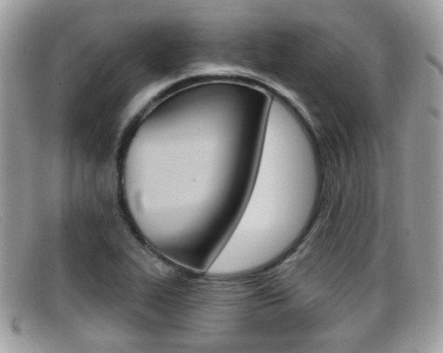 X0000096711319200802051028