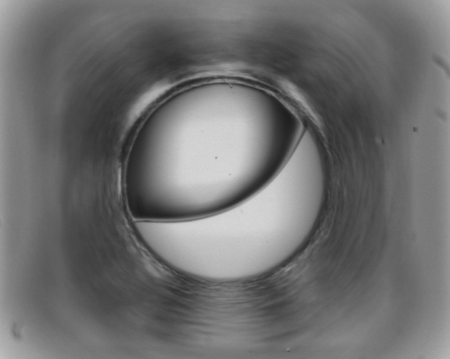 X0000096711320200802051028