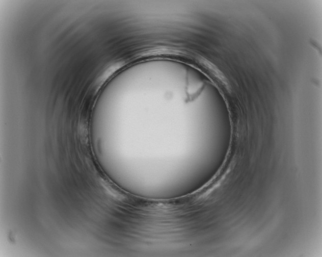 X0000096711321200802051028