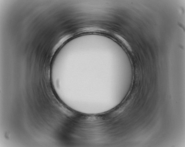 X0000096711322200802051028