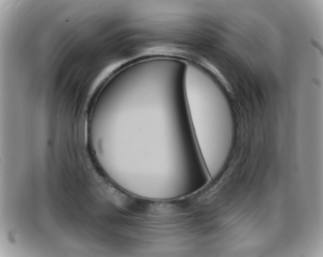 X0000096711323200802051028