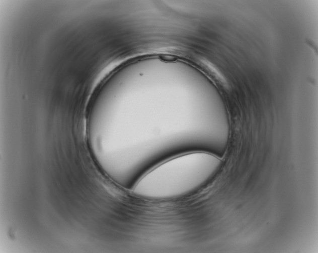X0000096711324200802051028