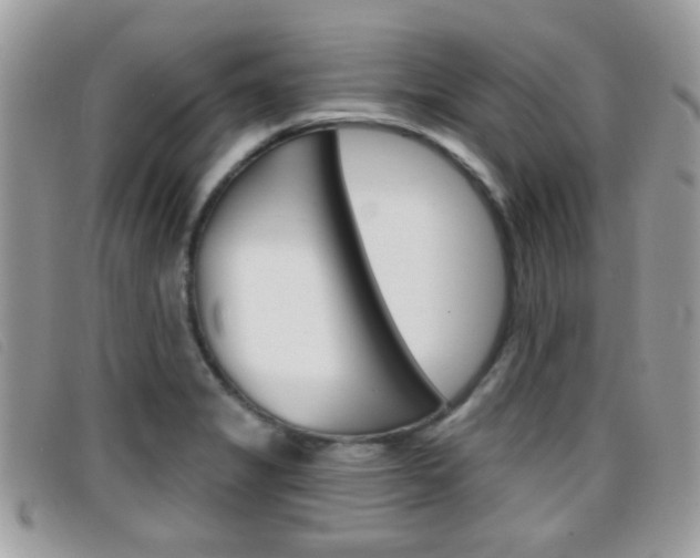 X0000096711325200802051028