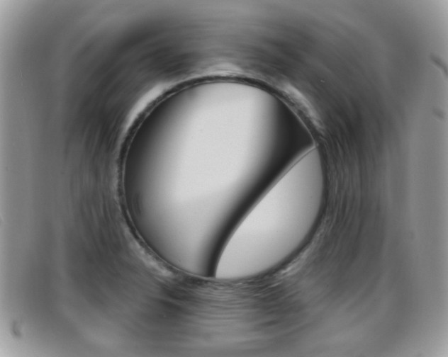 X0000096711326200802051028