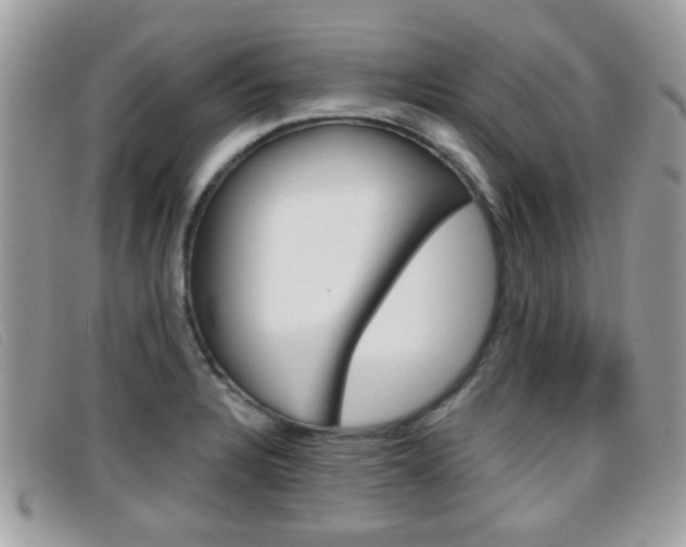 X0000096711328200802051028