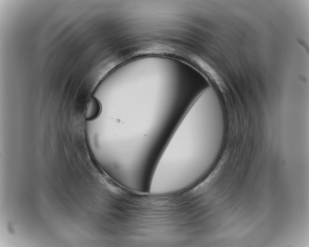 X0000096711329200802051028