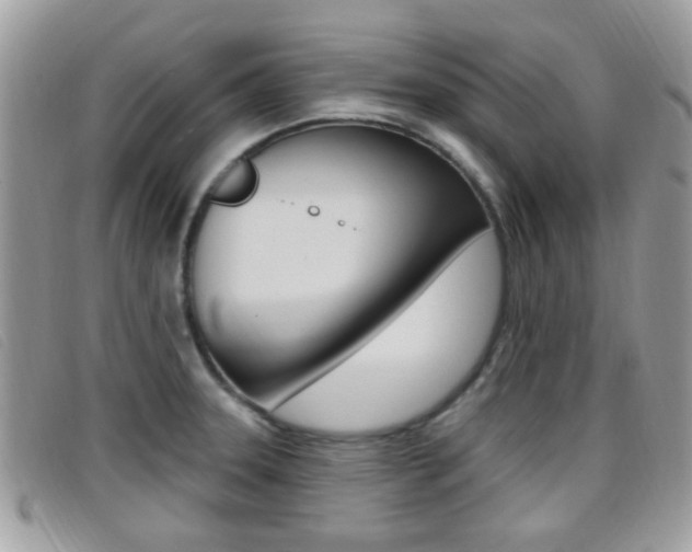 X0000096711331200802051028