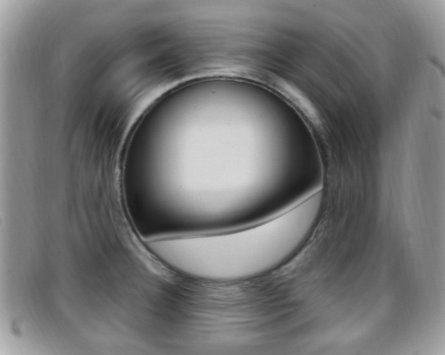 X0000096711332200802051028