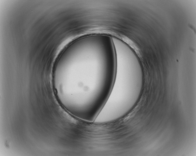 X0000096711334200802051028