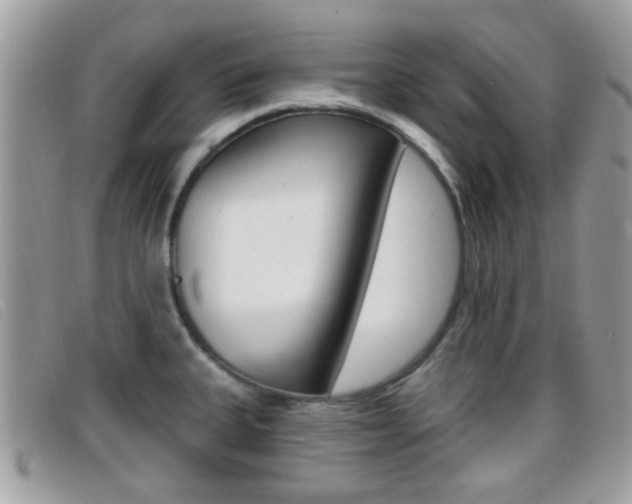 X0000096711335200802051028