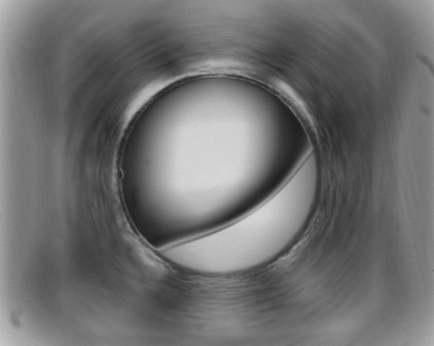 X0000096711336200802051028