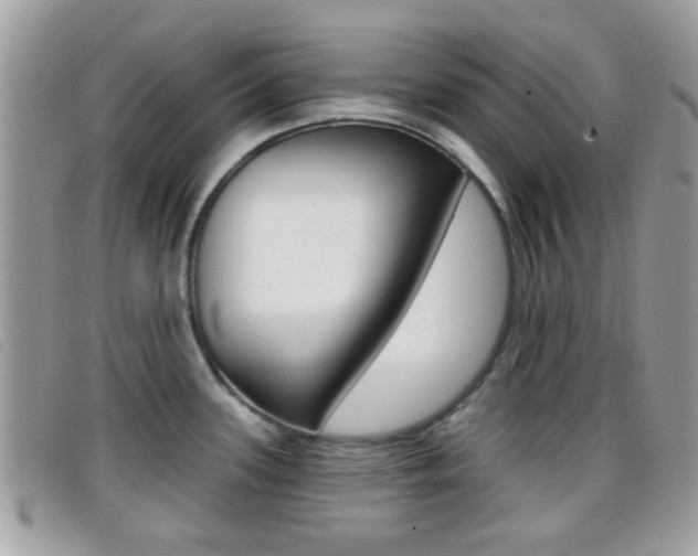 X0000096711339200802051028