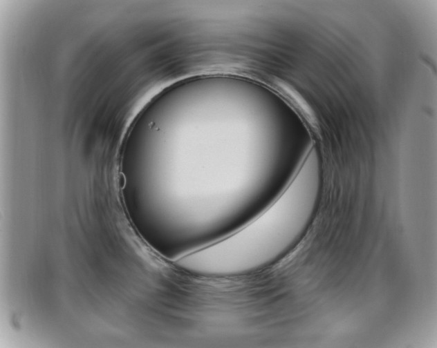 X0000096711340200802051028