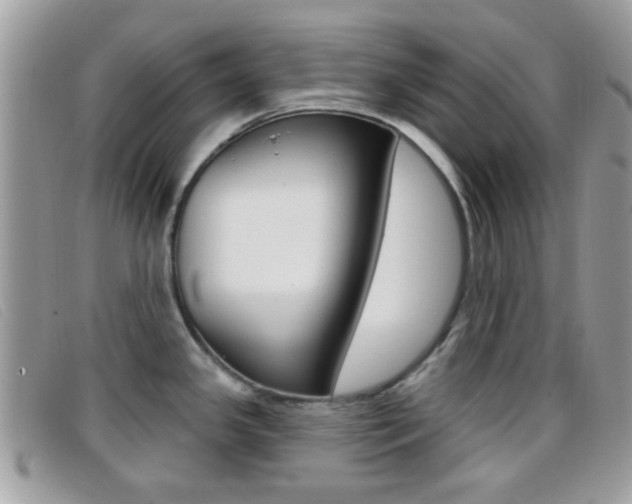 X0000096711341200802051028