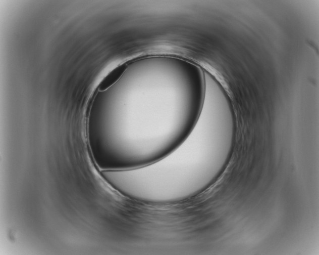X0000096711342200802051029