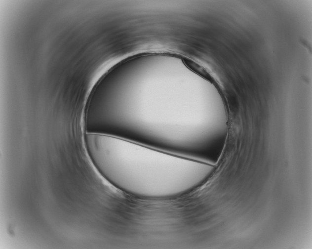 X0000096711343200802051029