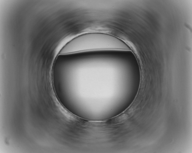 X0000096711344200802051029