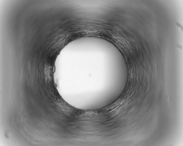X0000096711346200802051028