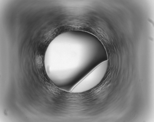 X0000096711347200802051028