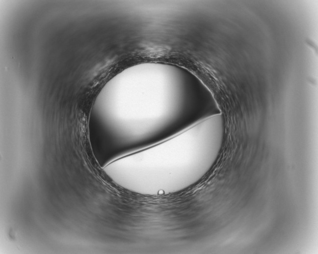 X0000096711349200802051028