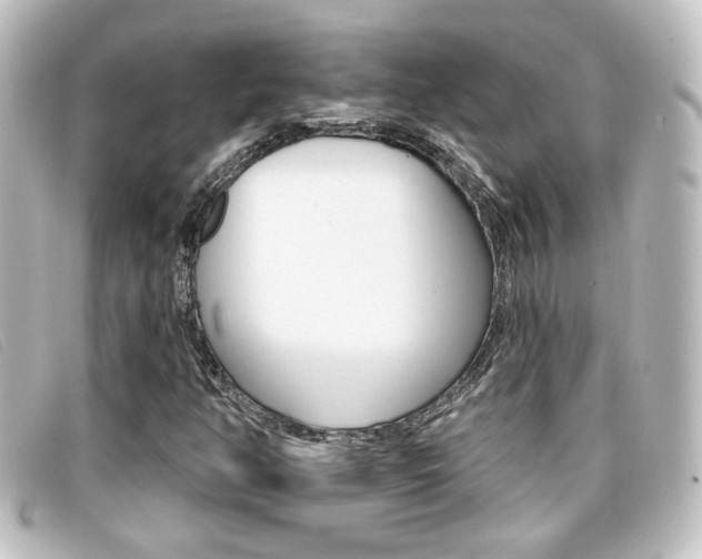 X0000096711350200802051028