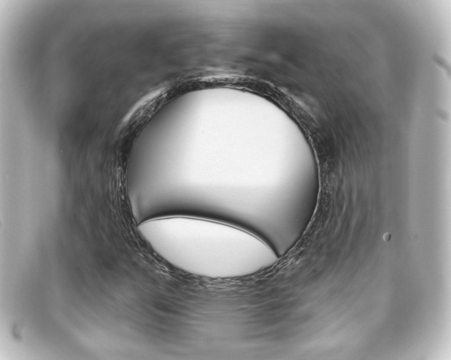 X0000096711351200802051028