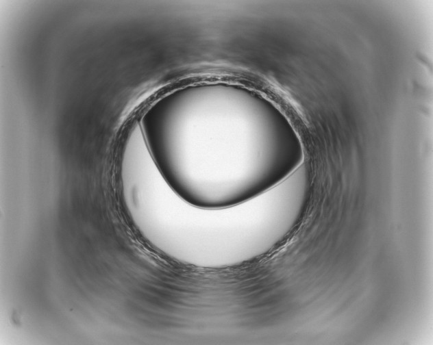 X0000096711352200802051028