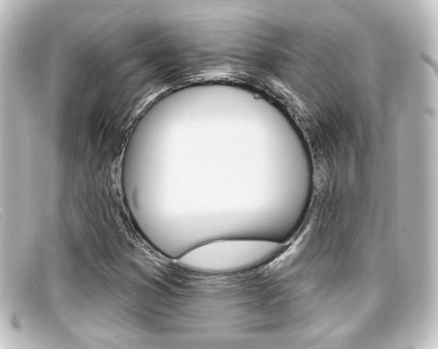 X0000096711353200802051028