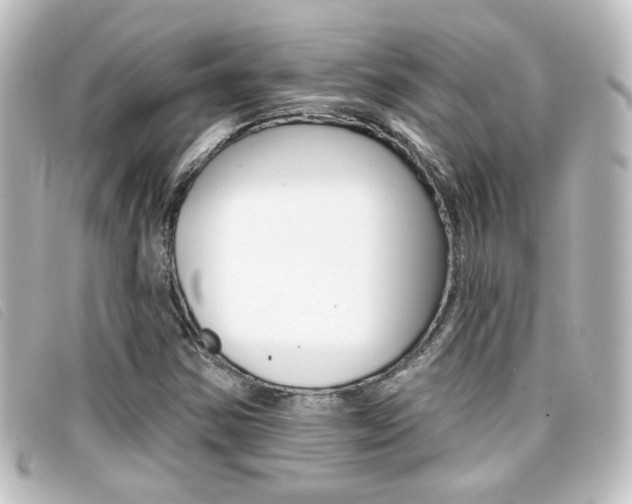 X0000096711354200802051028
